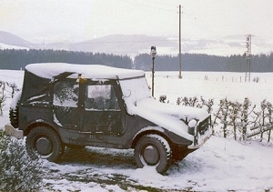 Munga in de sneeuw