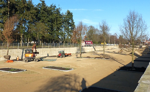 Parkeerplaats bomen